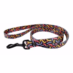 Correa Multicolor