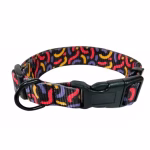 Collar Confetti
