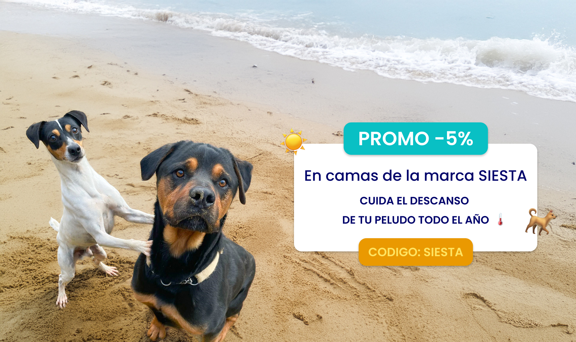 Banner-promo5-camas-siesta